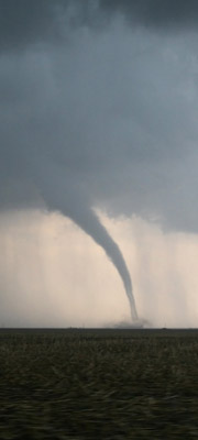 DISASTER PREPAREDNESS by DAVID MILLER