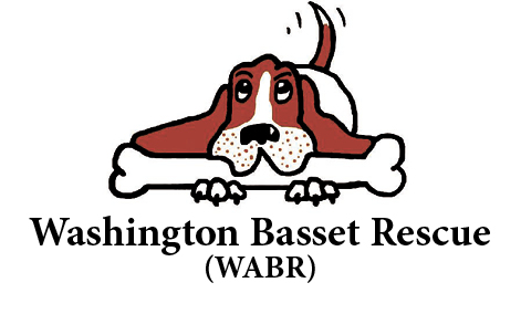 Washington Basset Rescue