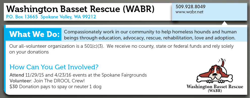 Washington Basset Rescue